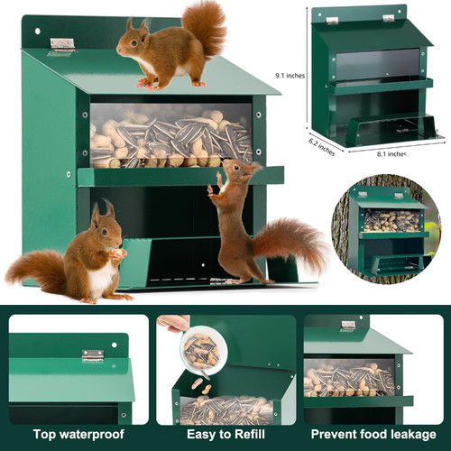 Wildlife garden squirrel - wildlife,