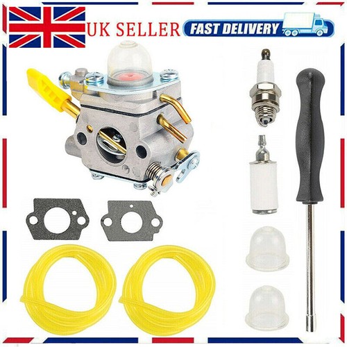 Carburettor kit for ryobi - carburettor,