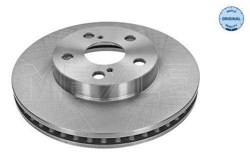 Brake disc pair - 2x, braking