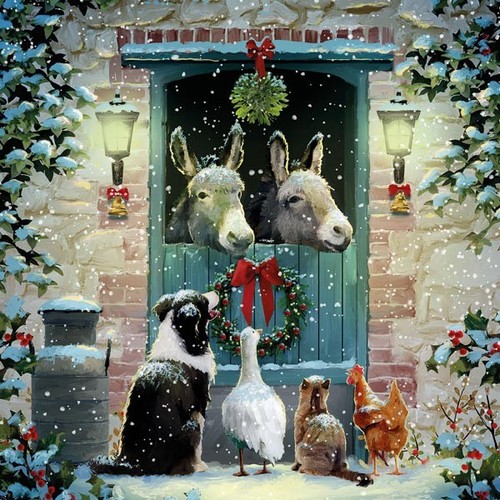 Christmas cards donkey - christmas,