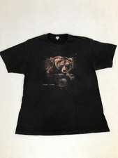 Banff Canada Brown Bear Animal