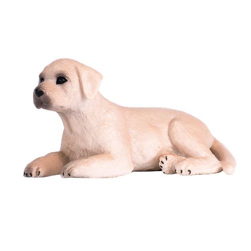 Mojo labrador puppy dog cute - puppy,