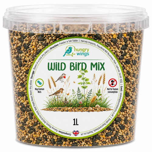 Hungry wings wild bird - wild, seed