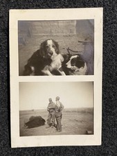 Farmers And Dogs Men 1942