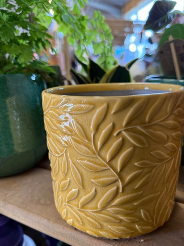 Ceramic yellow indoor plant - indoor,