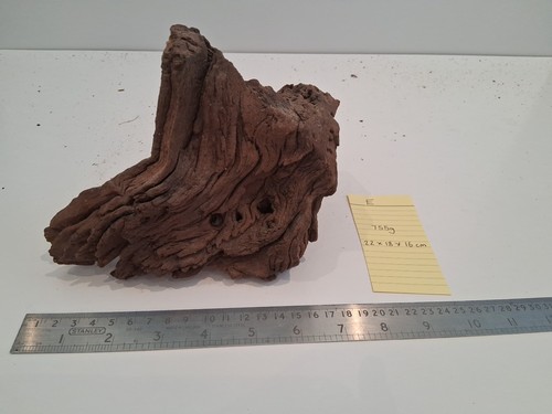 Driftwood bogwood burl - driftwood,