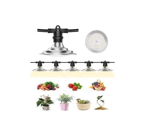 Plant grow lights - plant, lights,