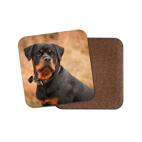 Beautiful rottweiler coaster - coaster,