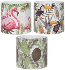 Small Ceramic Plant Pot Indoor