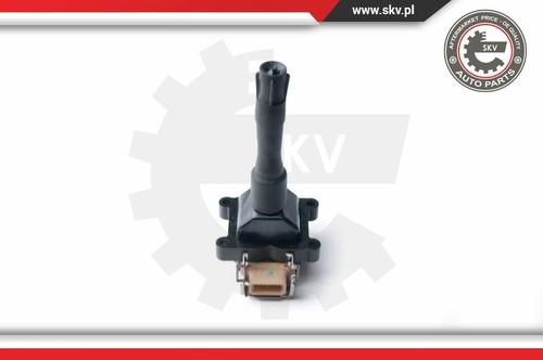 03skv219 esen skv - esen, ignition