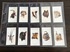 Wild Animal Heads full set