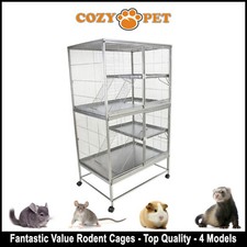 Cozy pet rodent - rodent, for