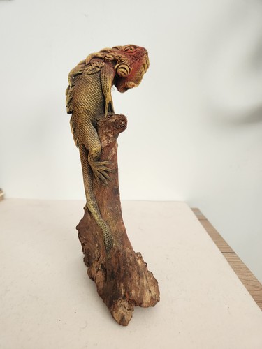 Iguana statue sculpture - iguana,
