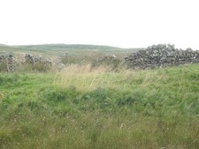 Photo A3 Old sheep shelter built into the dry stane dyke Corriedoo The r c2011
