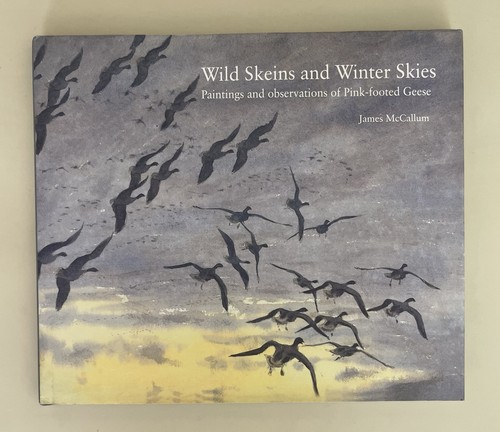 Wild skeins and winter skies - winter,