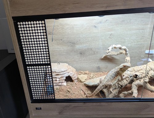 Vivarium vent door - vent, |