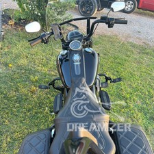 1.25" Long Highway Foot Pegs +