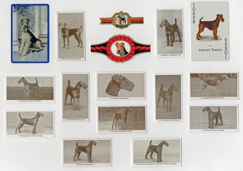 Airedale terrier vintage dog - terrier,