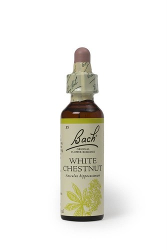 Bach original flower remedies - flower,