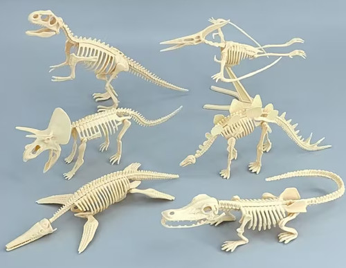 Imitation dinosaur fossil - imitation,