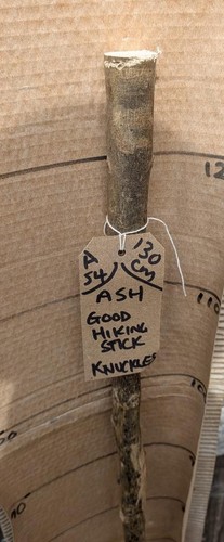 Ash walking stick shank - walking, shaft