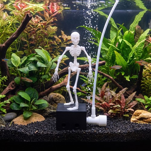 Dancing skeleton aquarium - dancing,