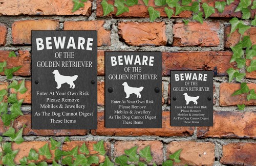 Humorous beware the dog - beware,