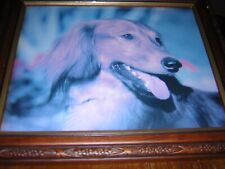 Two prints of Dogs, one a mainly black Saluki and Dachshund.