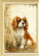 Cavalier King Charles Spaniel