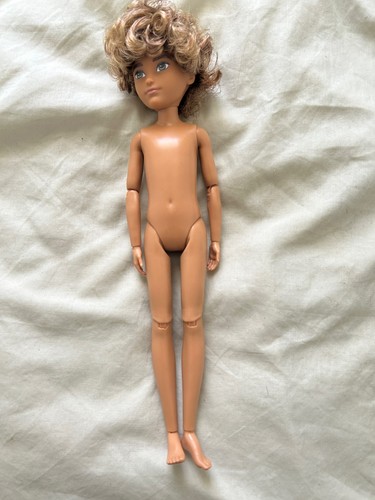 Creatable world deluxe - world,