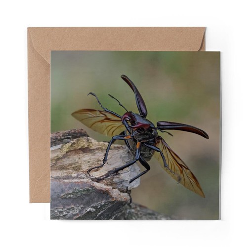Blank greeting card - 1,