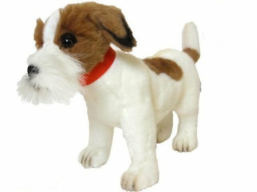 Hansa jack russel - ,