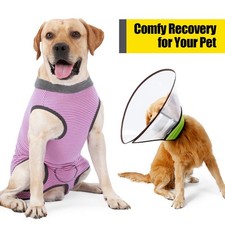 HEYWEAN Dog Recovery Suit