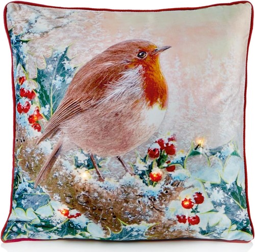 Large winter robin holly - robin, &