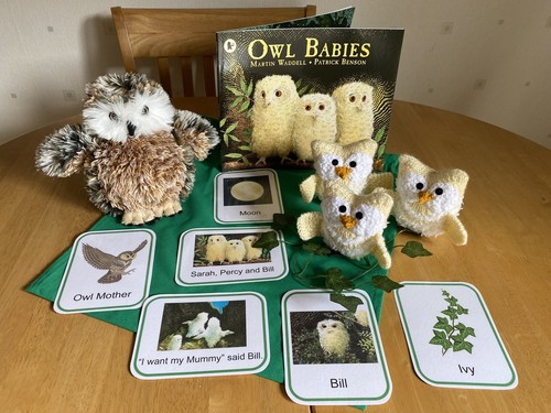 Owl babies story sack - owl,