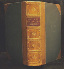 * Lovely Copy * Rev Thomas