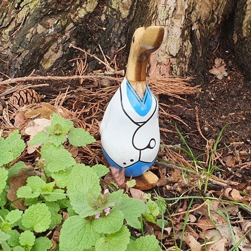 Bamboo duck doctor - doctor,, nurse