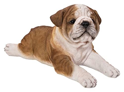 Cute laying bulldog puppy - cute,