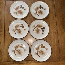 Set of Six Denby “Cotswold