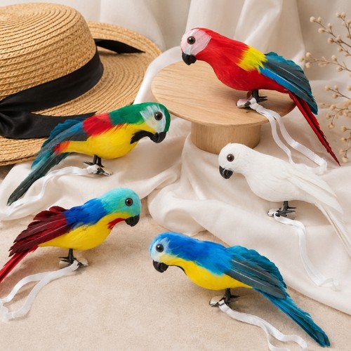 Pirate parrots shoulder - pirate, on