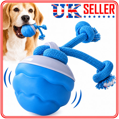 The chase buddy dog boredom - dog,