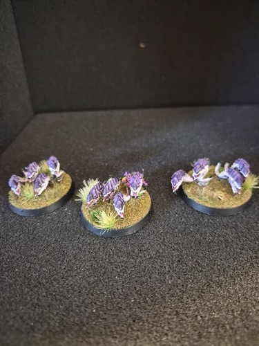 Tyranids ripper swarm - ripper,