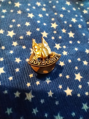 Vintage boy scout badge - vintage,
