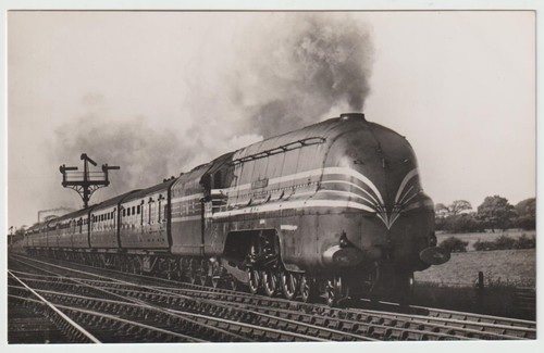 Lms streamlined princess - lms,