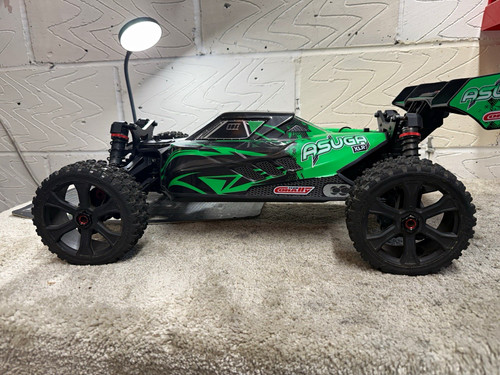 Corally asuga xlr - corally,