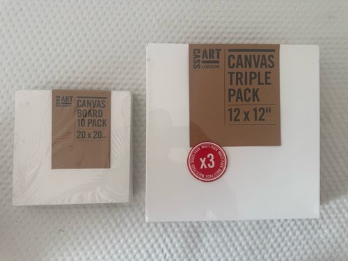 Cass arts canvases x 20cm - canvases,