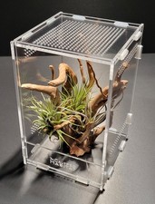 Jumping Spider Enclosure