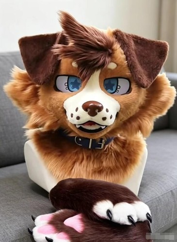 Fursuit long fur husky fox - fursuit,