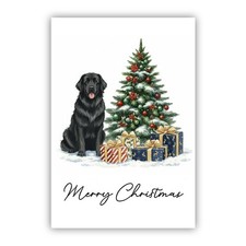 Newfoundland Dog Christmas