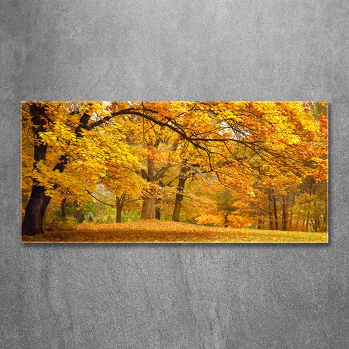 Acrylic glass picture - , wall